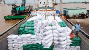 Top 10 doanh nghiệp xuất khẩu gạo uy tín nhất hiện nay