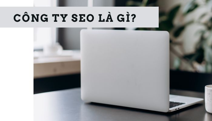 Công ty SEO là gì?