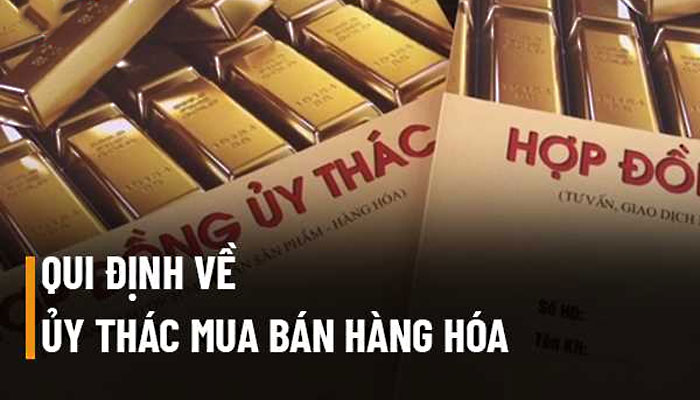 Những quy định và trách nhiệm trong nhập khẩu ủy thác