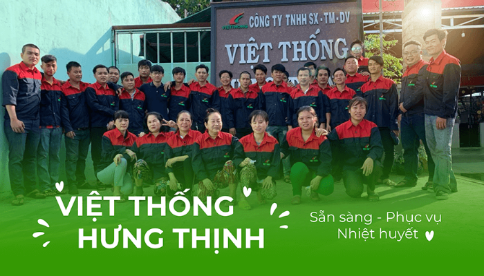 Thống Hưng