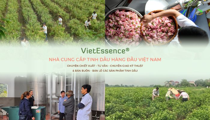 Về thương hiệu VIPSEN