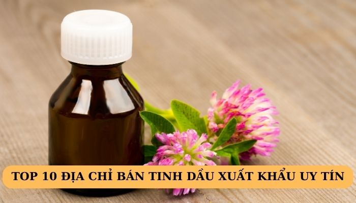 Top 10 tinh dầu xuất khẩu chất lượng bạn nên biết