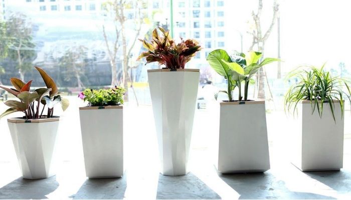 Chậu nhựa trồng cây Volga Group