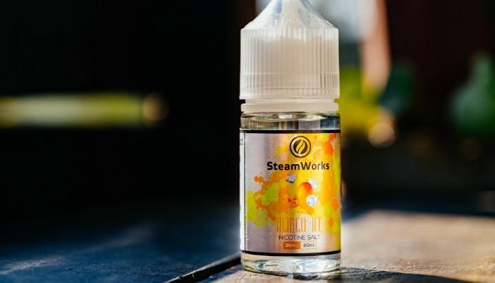 Steamworks Salt Mango Ice