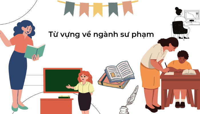 Từ vựng về ngành sư phạm