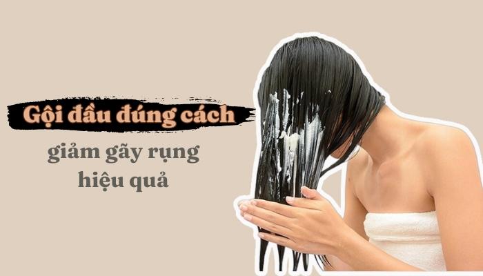 gội đầu đúng cách