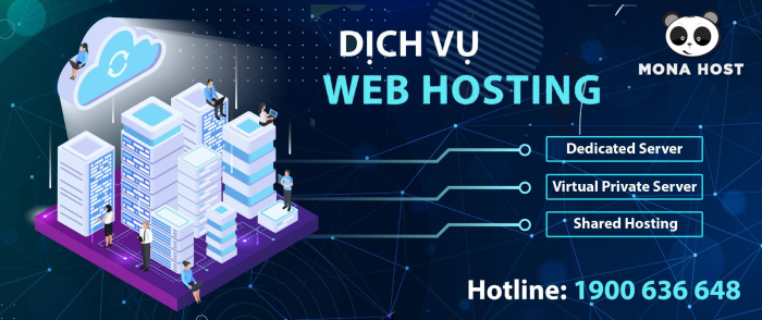 Dịch vụ hosting chuyên nghiệp tại Mona Media