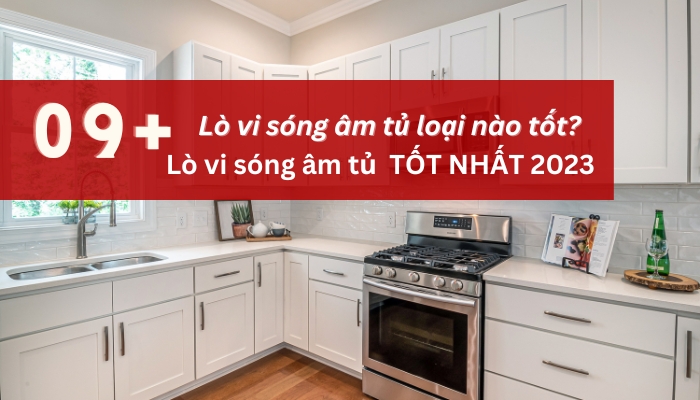 lò vi sóng âm tủ loại nào tốt?