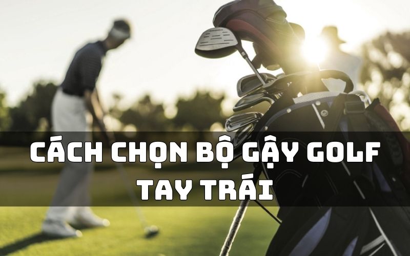 bộ gậy golf tay trái