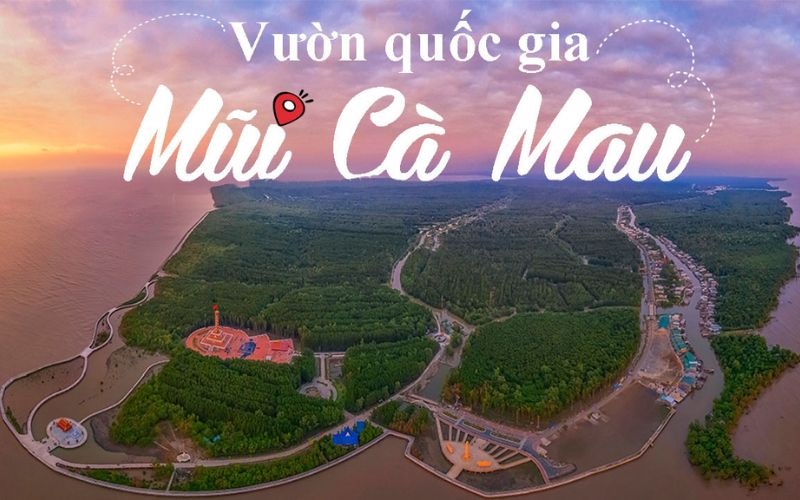 cà mau