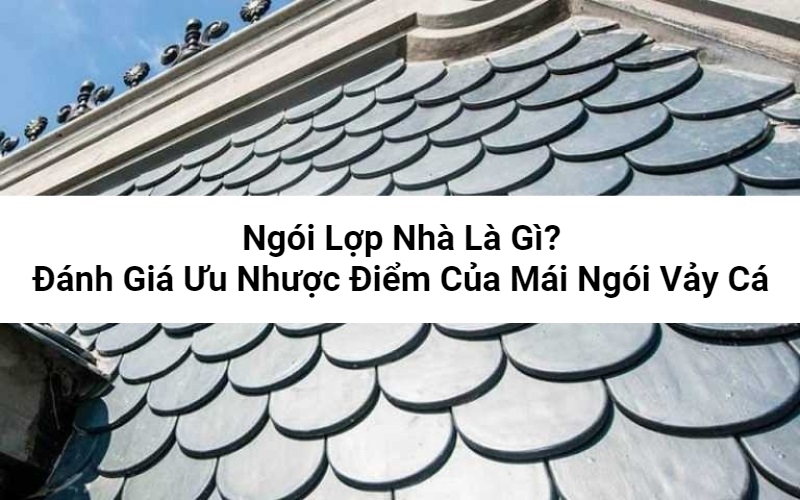 ngói vảy cá